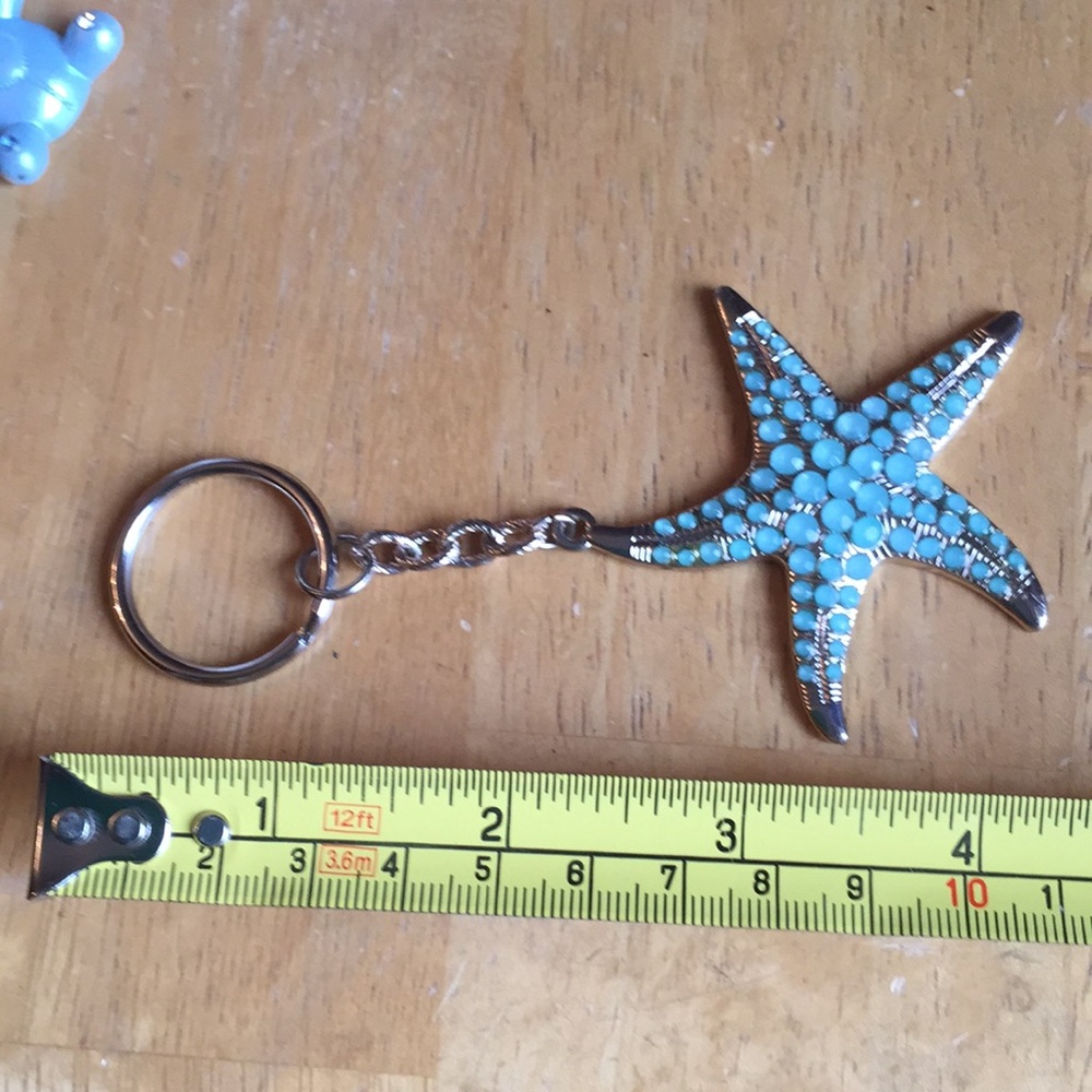 Pretty fishstar Keychain